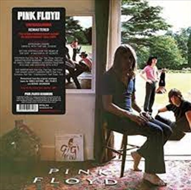 Pink Floyd Ummagumma