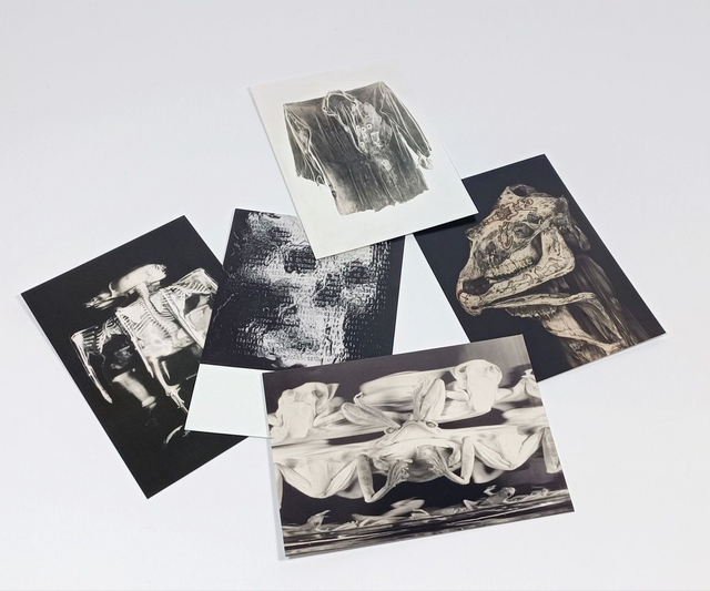 Jeu de 5 cartes "Retirer tout ce qui n'est pas girafe / Patrick Bailly-Maître-Grand" Exposition 