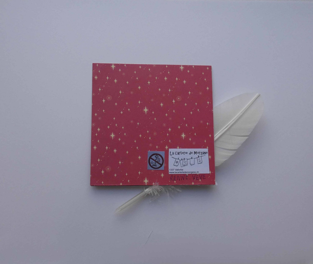 Promenade avec un renne à Noël