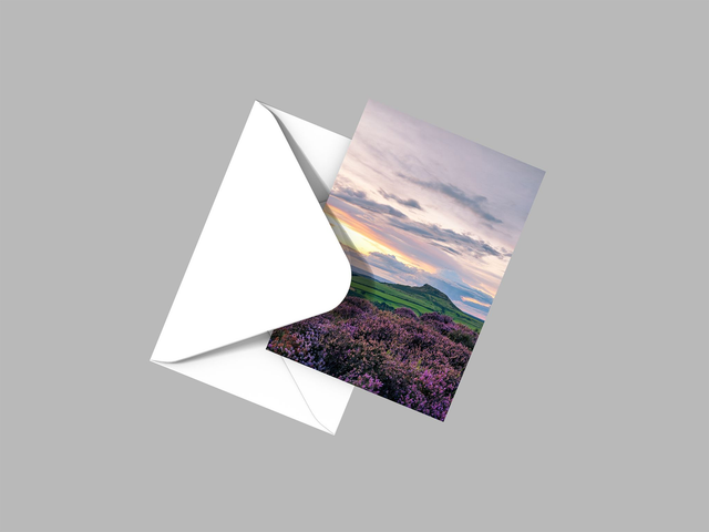 Sitting Among The Heather, Roseberry Topping