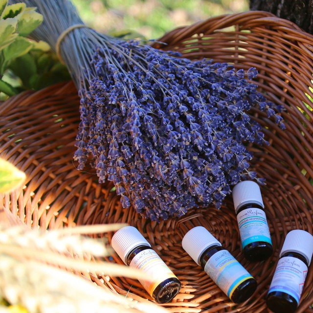 Huiles essentielles Complexe DOUCEUR PROVENÇALE 10ml