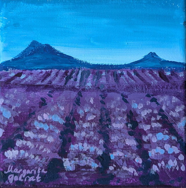 Champ de lavande 12 x 12 cm