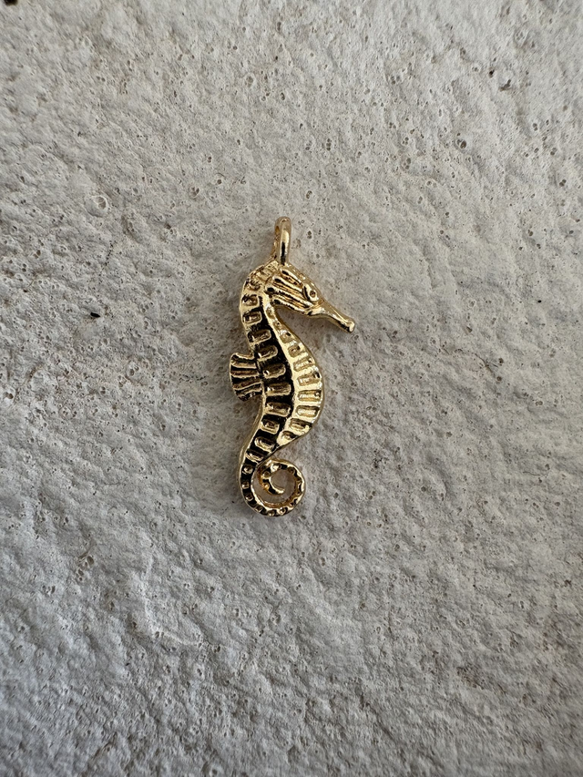 Charm Hippocampe