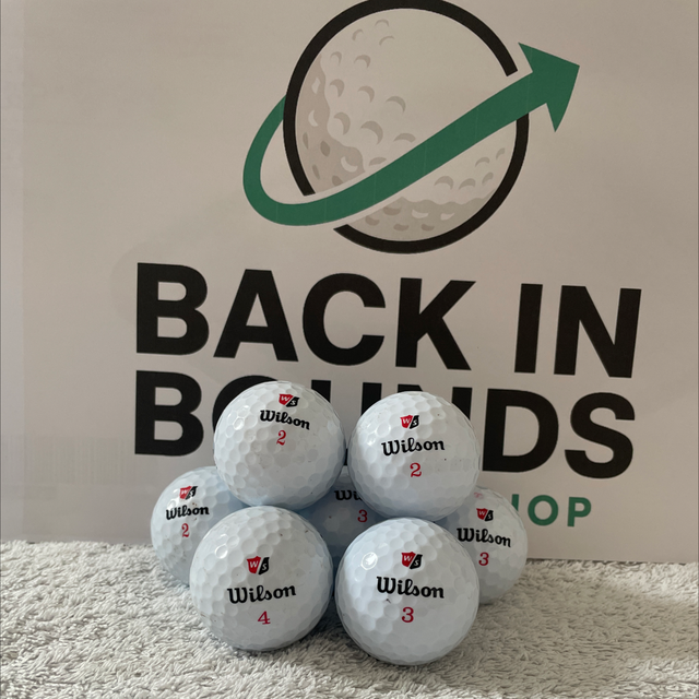 Wilson Mixed Balls white x 10
