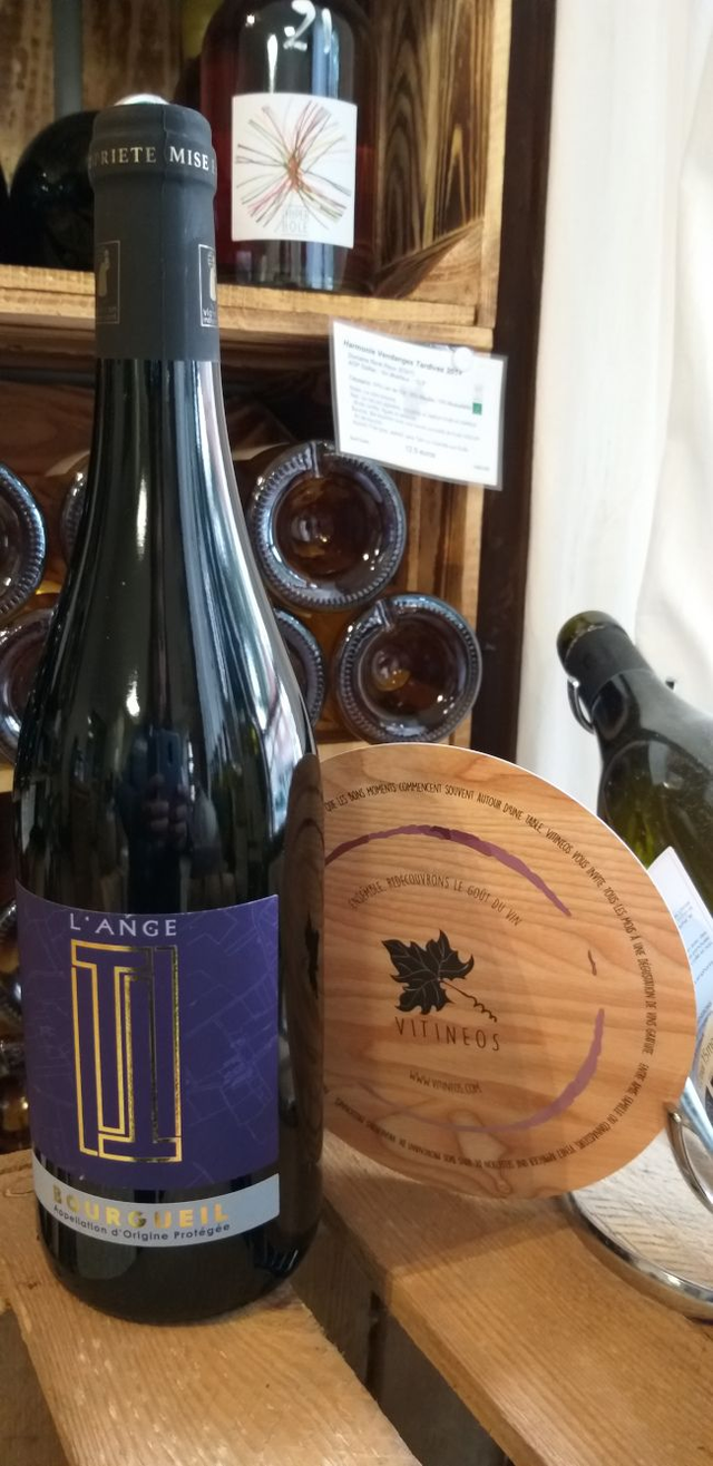 Cuvée de l''Ange 2020 - Rouge Sec Tranquille - Domaine du Petit Bondieu (Thomas Pichet)