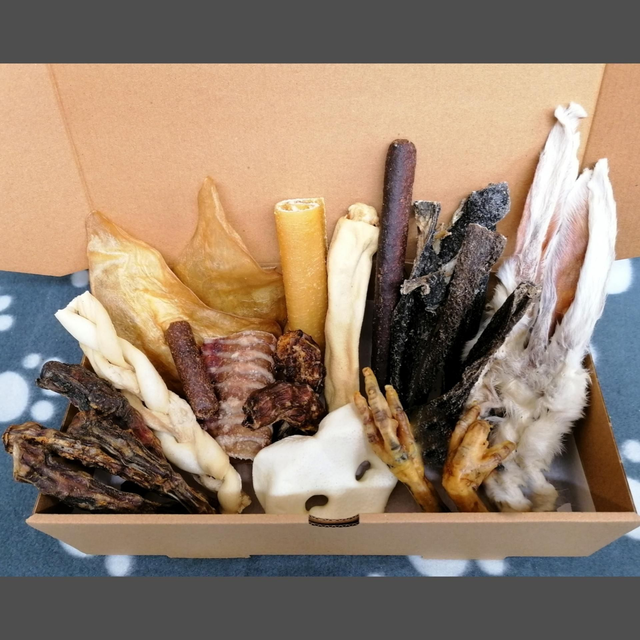 All Breed Variety Box 