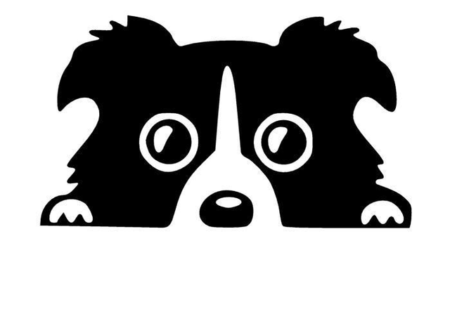 Dogy FUN 4