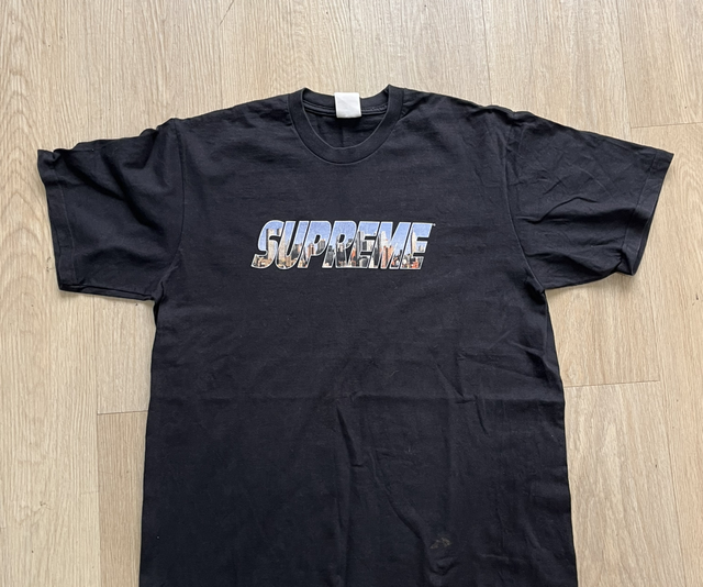 Supreme t shirt skyline