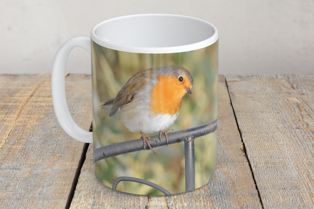 “Robby Robin Deep In Thought” Mug