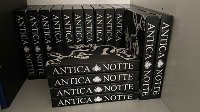 ALL INCLUSIVE * Saga COMPLETA CARTACEA con il cofanetto AN1-AN11 + custodie + quaderno + segnalibro * TUTTO INCLUSO