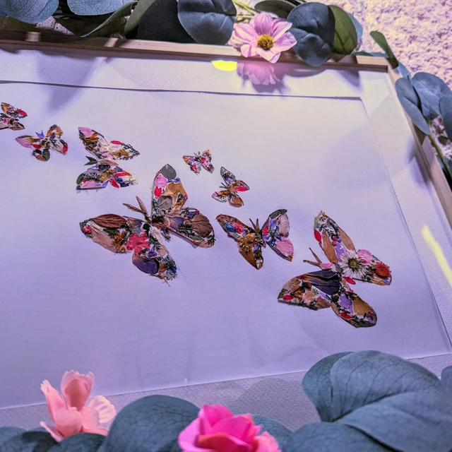 Herbier Personnalisé