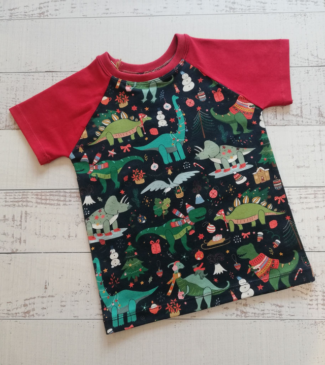 Children's Raglan T-Shirt - Festive Dinosaurs