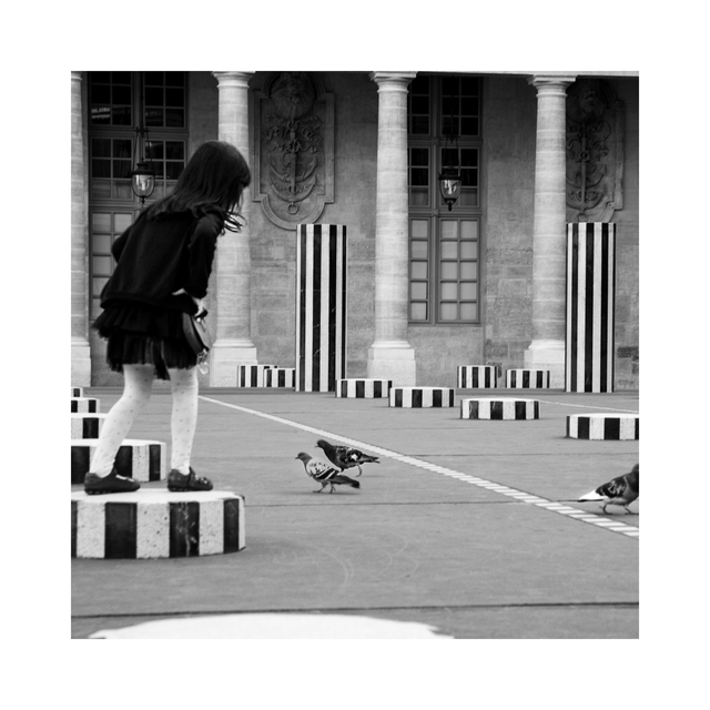 l’appel des pigeons
