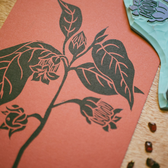 Linogravure - Belladone - A6