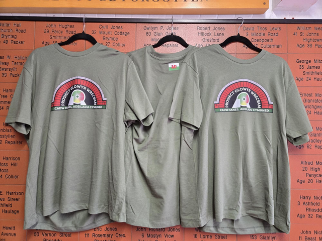 0101 Welsh logo tee-shirt 