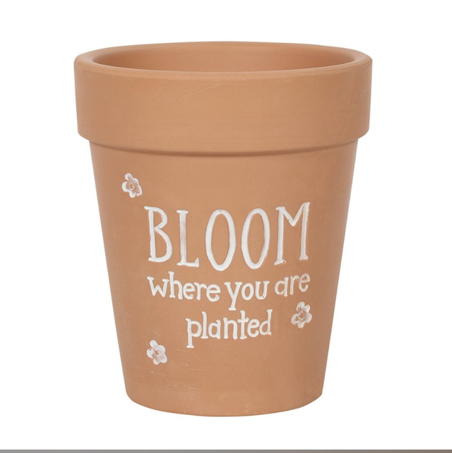 Bloom where you are planted flower pot 