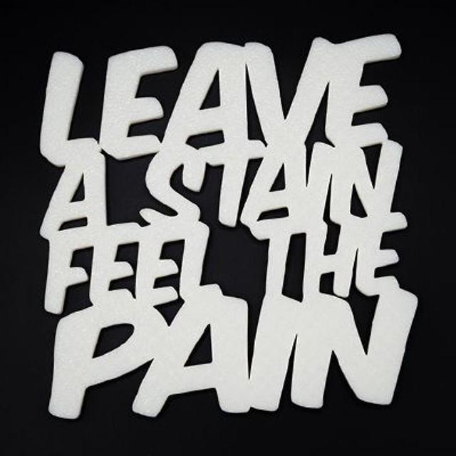 Novelty Coaster - Leave a Stain Feel the Pain