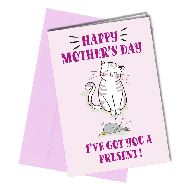 #100 I've Got You A Present! | Birthday Card From The Cat