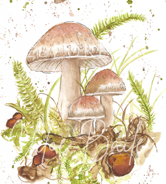 ‘Wispy Woodlands’ Print