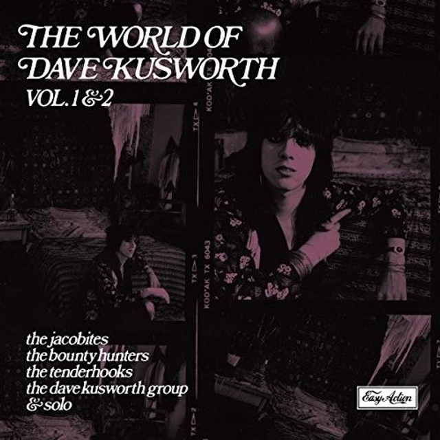 Dave Kusworth - The World Of Dave Kusworth 2LP Troubador