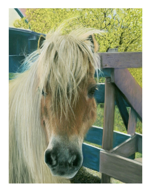 Print (large)  'SIDNEY' (Olde Manegepeerd) 