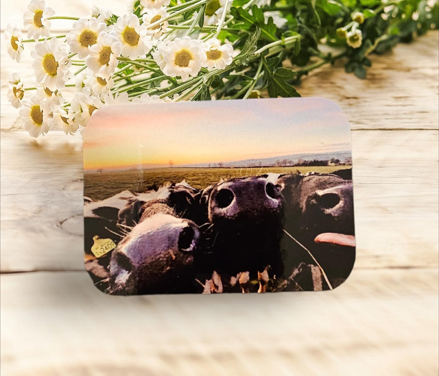 Magnet - Cows