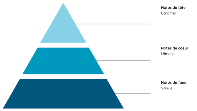 Fondant parfumé " Confiture de lait "