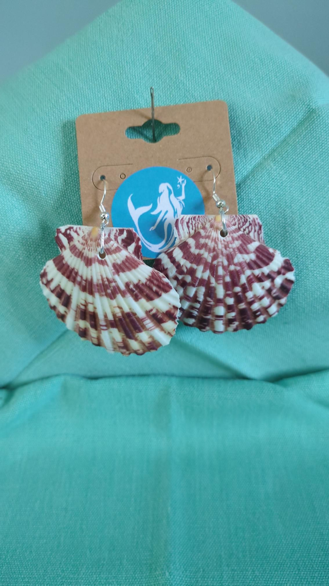 Earrings natural shell