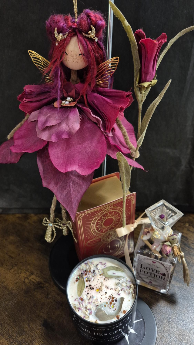 Box Gardienne "Hibiscéa"