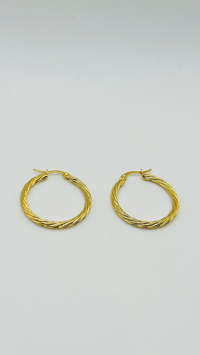 Stainless Steel Earrings (SSE53J)