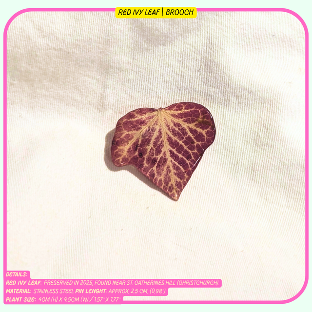 Full Foliage Brooches | Real Plants & Flowers