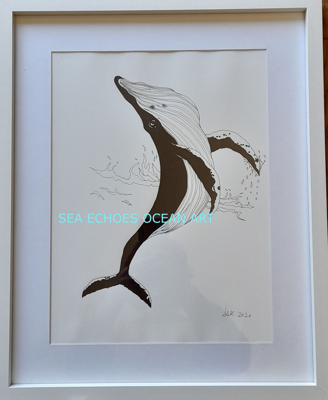 Breaching = Joy! (Original)