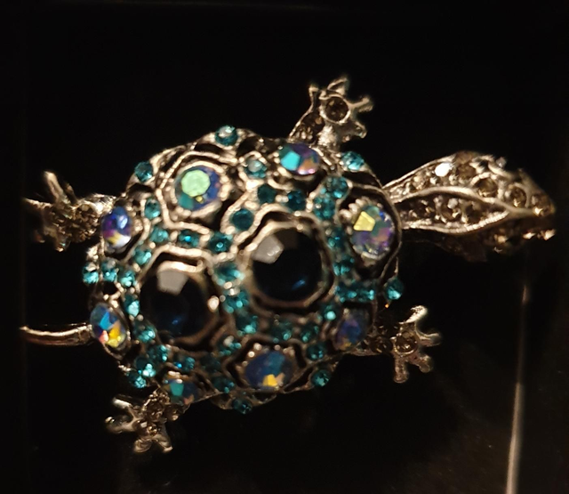 Tortoise Brooch 