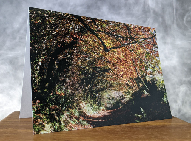 Autumn Tunnel Blank Card