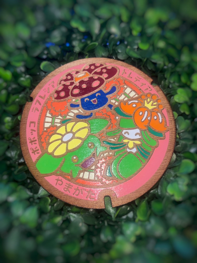 Plaque Pokémon Rafflésia, Floravol et Fragilady.