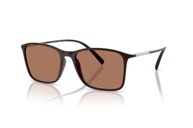 Eyewear Man Giorgio Armani  AR 8231U 623973