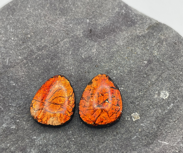 Amber drop studs