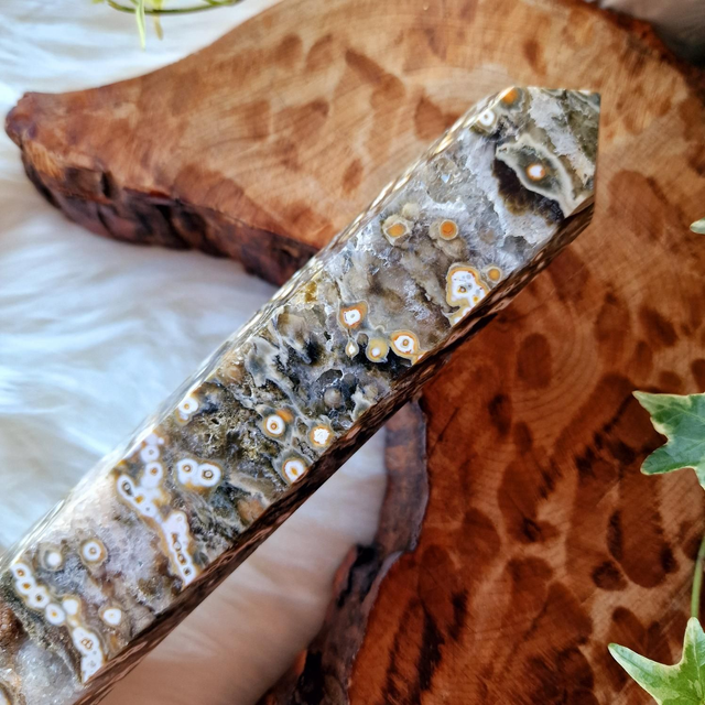 Ocean Jasper point 628g