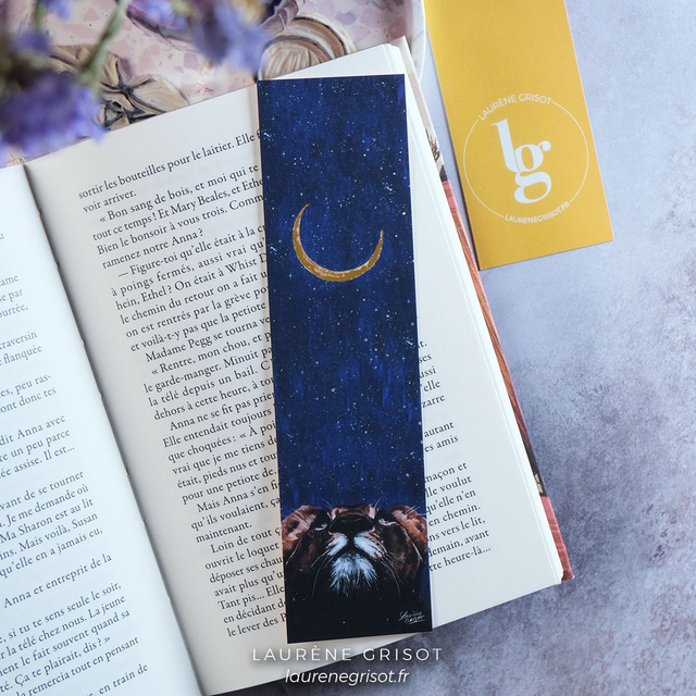A look at the stars (bookmark)