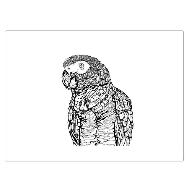 B&amp;W A3 print - parrot
