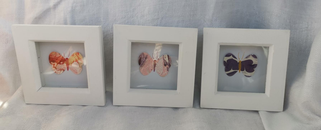 Tiny box framed butterflies 