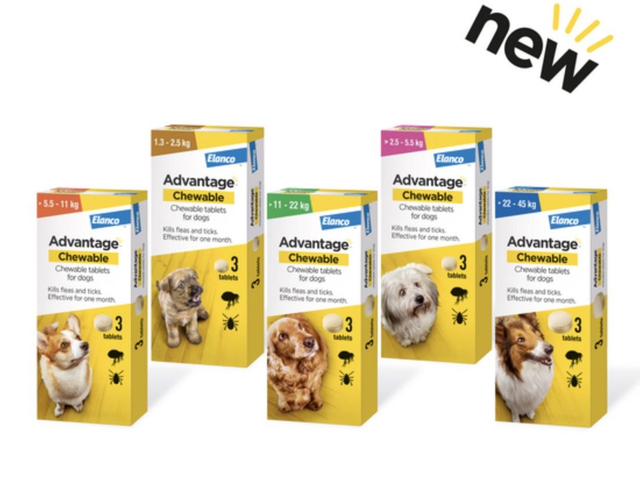 Advantage™ Chewable Tablets Flea &amp; Tick Treatment for Dogs 3 pk