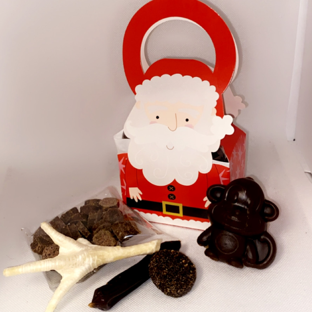 Santa Paws Treat Box 