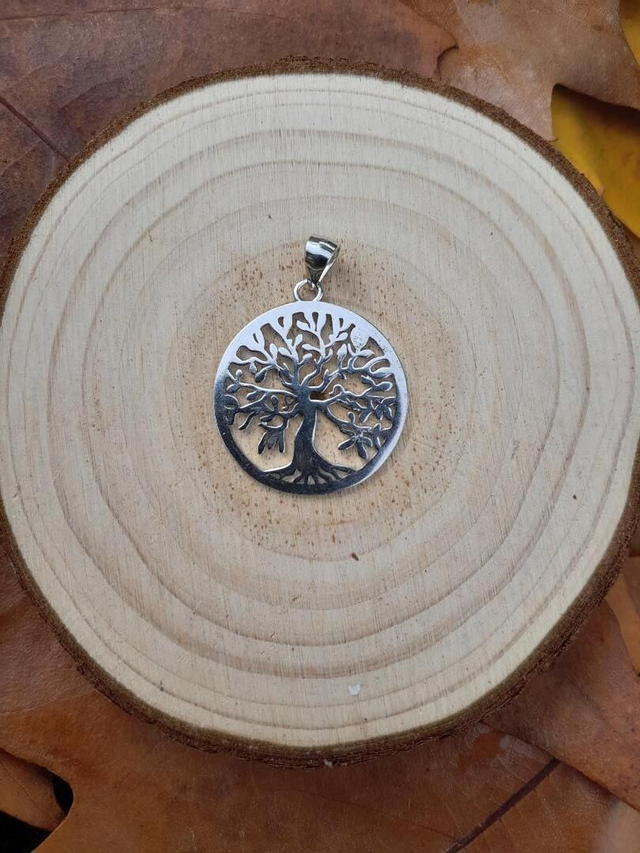 Pendentif Arbre de vie sculpté argent avec une chaine en acier inoxydable