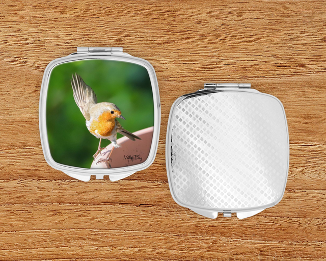 "Dancing Robby" Compact Mirror  