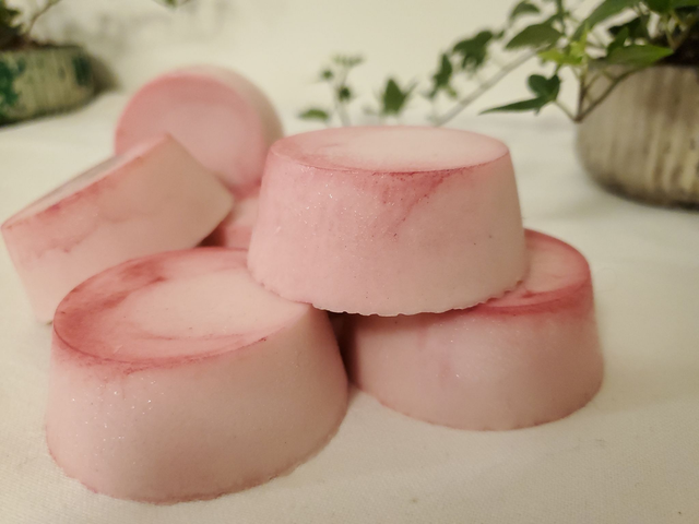 Zero Waste Shampoo Bar | Burnt Cocoa