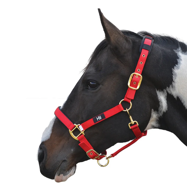 HY Deluxe Padded Head Collar RED