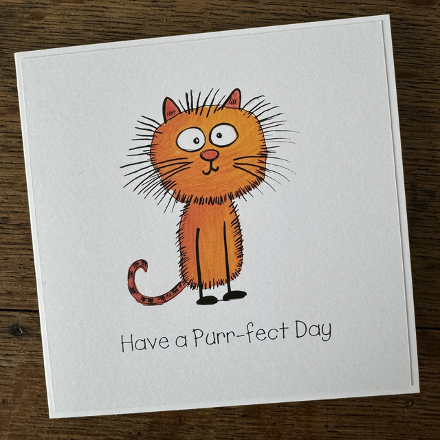 C105/F107 Have a Purr-fect Day