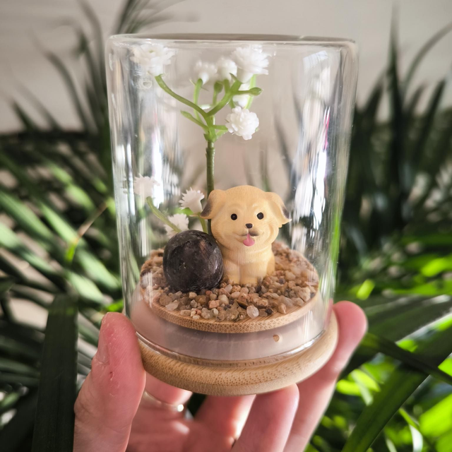 Ami protecteur - Carlin