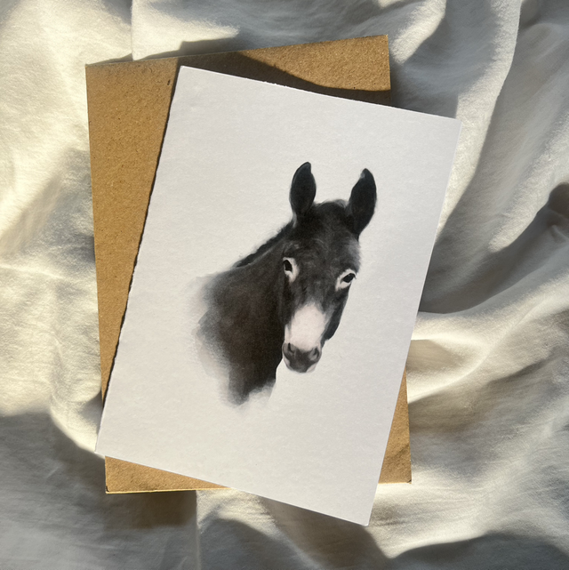 Dark Grey Donkey